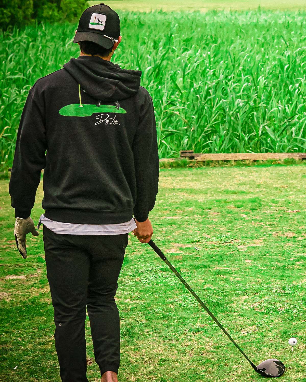 A FAIRWAY RETRIEVER (BLACK LAB)